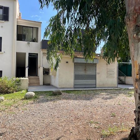 Residence Pascal Paoli Fior Di Mare مورياني بلاج المظهر الخارجي الصورة