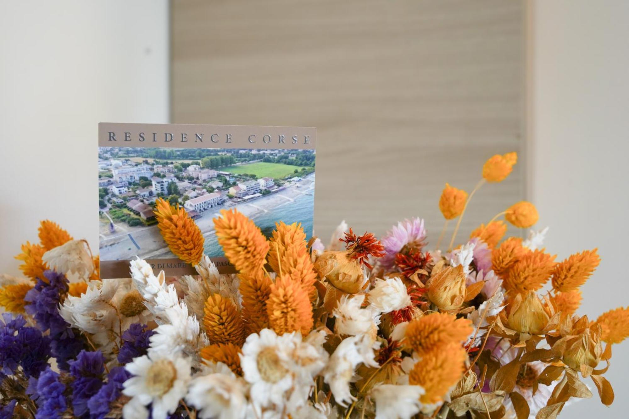Residence Pascal Paoli Fior Di Mare مورياني بلاج المظهر الخارجي الصورة