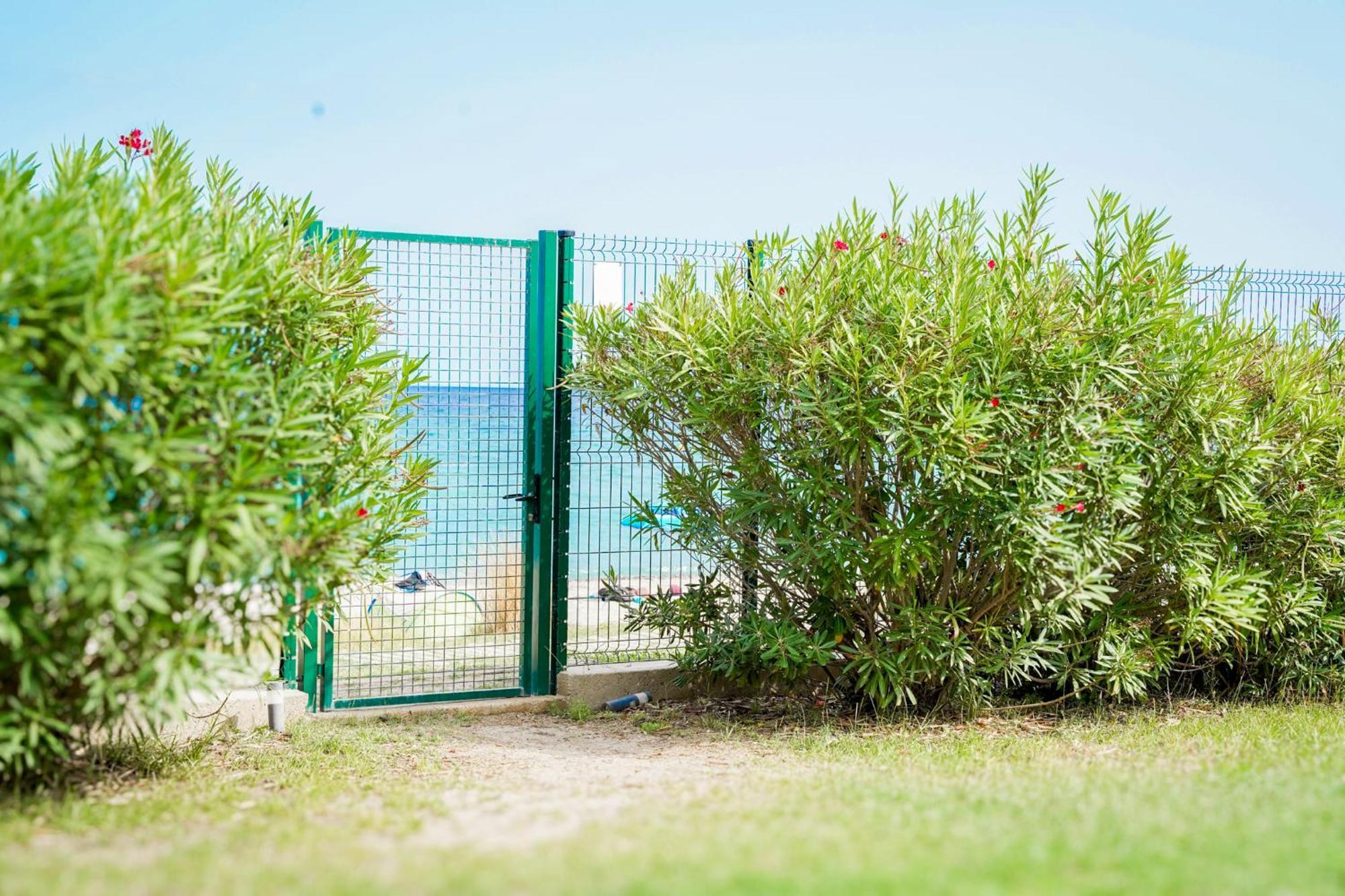 Residence Pascal Paoli Fior Di Mare مورياني بلاج المظهر الخارجي الصورة